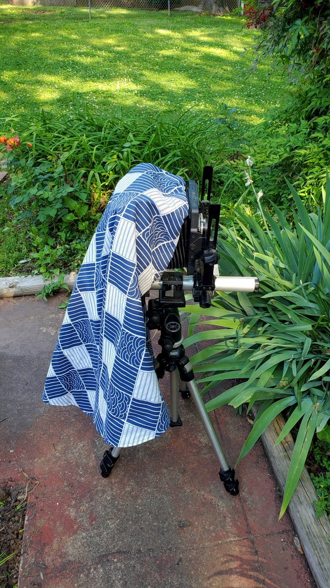 hexheadtn's tweet image. Just can&apos;t seem to make sense of the exposure for this film. These examples are more like ISO 400. Maybe expects bright daylight conditions? Sure doesn&apos;t seem like ISO 800. #lomograflok #lomography #large_format #4x5 #instax #instax_wide #iso