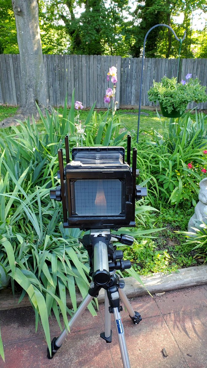 hexheadtn's tweet image. Just can&apos;t seem to make sense of the exposure for this film. These examples are more like ISO 400. Maybe expects bright daylight conditions? Sure doesn&apos;t seem like ISO 800. #lomograflok #lomography #large_format #4x5 #instax #instax_wide #iso