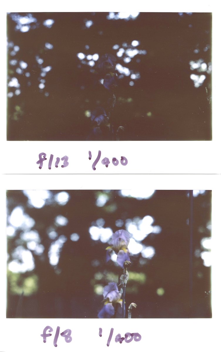 hexheadtn's tweet image. Just can&apos;t seem to make sense of the exposure for this film. These examples are more like ISO 400. Maybe expects bright daylight conditions? Sure doesn&apos;t seem like ISO 800. #lomograflok #lomography #large_format #4x5 #instax #instax_wide #iso