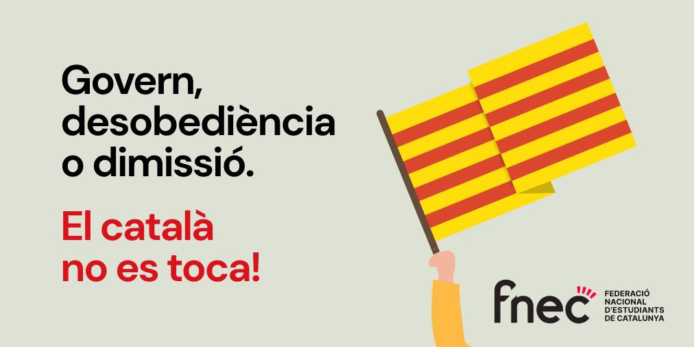 FNEC tweet media