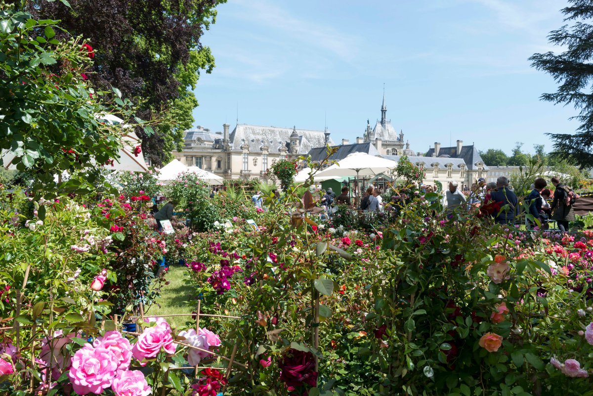CdeChantilly's tweet photo. Dès ce vendredi et jusqu'à dimanche, les plus belles variétés de plantes 🌷🌸🌼 vous attendent aux Journées des Plantes de Chantilly ! 

Une édition de printemps placée sous le soleil ☀️!
🎫 : https://t.co/pz02qhjwDu

#JournéesdesPlantesdeChantilly #evenement #printemps https://t.co/x7QkBPfcuO