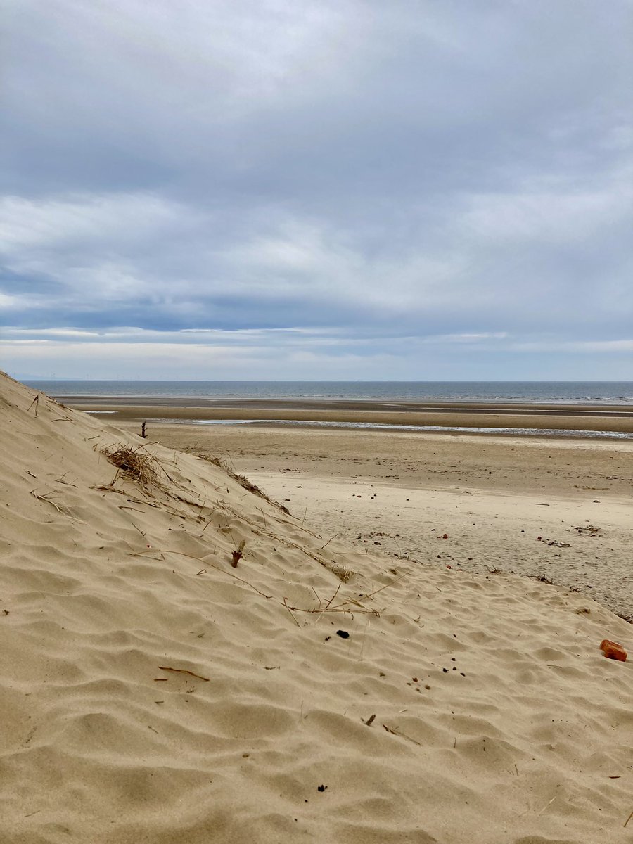 Felicity tweet media