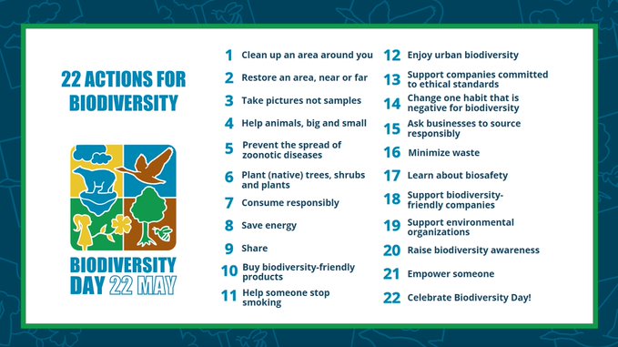 Convention on Wetlands (@ramsarconv) on Twitter photo We all have a role in protecting the #biodiversity we depend on.
For #BiodiversityDay on 2⃣2⃣May, let's celebrate the web of life on our planet and commit to safeguarding it for generations to come. 🌍🕸
Learn more #ForNature with <a href="/UNBiodiversity/">UN Biodiversity</a>:
cbd.int/biodiversity-d… We all have a role in protecting the #biodiversity we depend on.
For #BiodiversityDay on 2⃣2⃣May, let's celebrate the web of life on our planet and commit to safeguarding it for generations to come. 🌍🕸
Learn more #ForNature with <a href="/UNBiodiversity/">UN Biodiversity</a>:
cbd.int/biodiversity-d…
