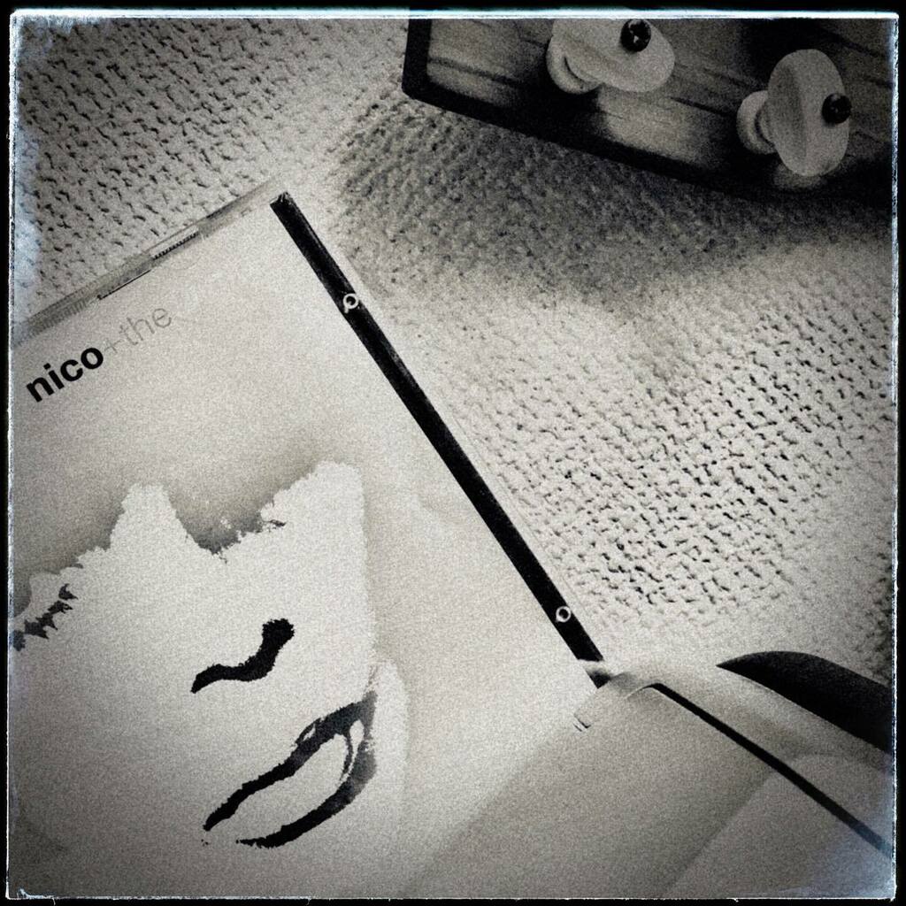 kikutaroid's tweet image. 記録
#日々
#scene
#compactdisk
#bw #bandwphotography #monotonephotography
#iPhoneSE
#trimmed #retouched #filtereffects
#maxcurveapp #snapseedapp instagr.am/p/CdVTfLwLnmT/