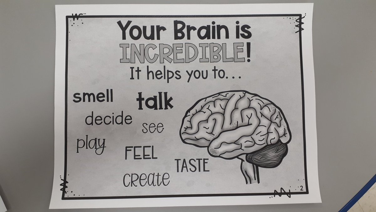 mrs_kitney's tweet image. Discussing the brain and our feelings during Ms. K's #socialskills lesson #EXCELclass @SebastianDPCDSB #dpcdsbcyw