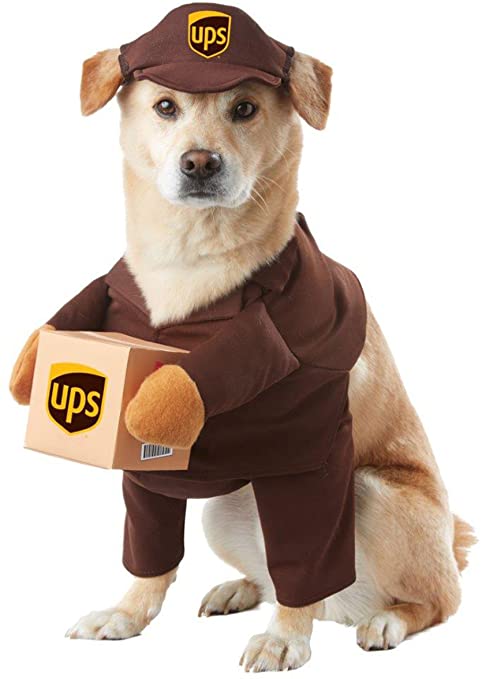 Why costume will you dress your pet in this year?