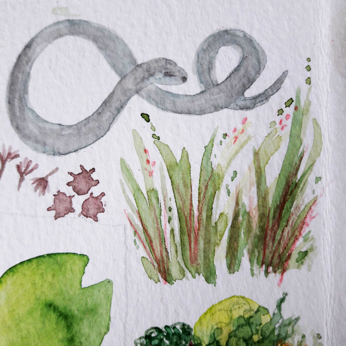 Being in nature and sketching in nature are so supportive to my mental wellbeing. This week I spent time beside a slow worm! 
#Watercolourpainting #greensketching
#MentalHealthAwarenessWeek