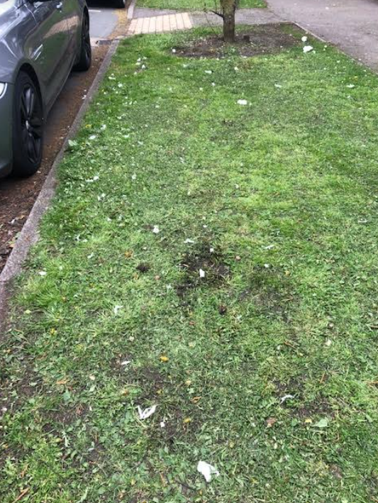 The dreaded grass cutters, turning 1 large piece of rubbish in to 100 small ones, again. This is one of the reasons I am taking a break from litter picking ~ Debbie