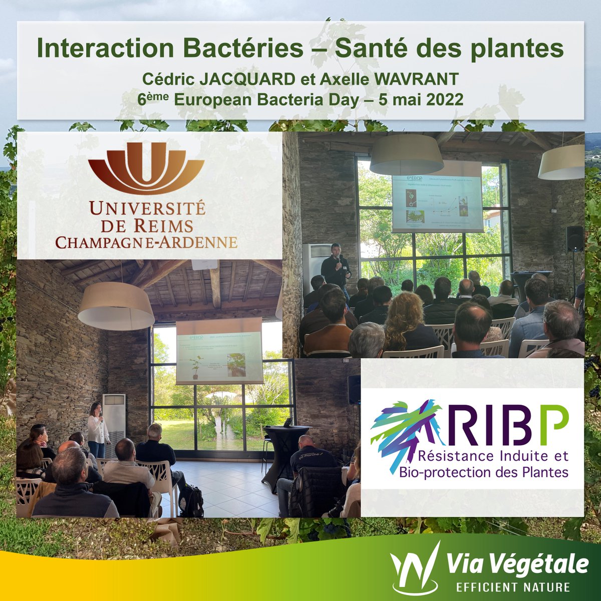 Via Vegetale tweet media