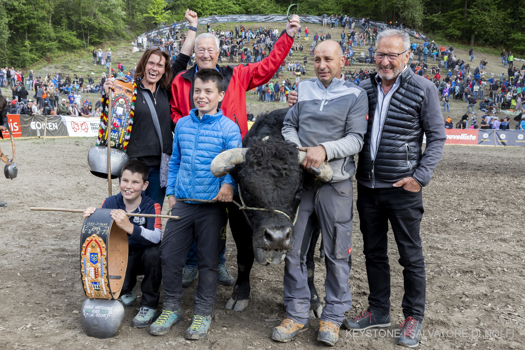 AbtSwitzerland's tweet photo. Congratulations to family Terretaz and #Herens cow Shita - winner of this year's Battle of the Queens! 🇨🇭🐄👑
Around 15'000 spectators traveled to Aproz, Valais to see the grand #cowfight finale which takes place every year in May.
More here 👇
https://t.co/0cYTde6fcY https://t.co/2MirvcHKbu