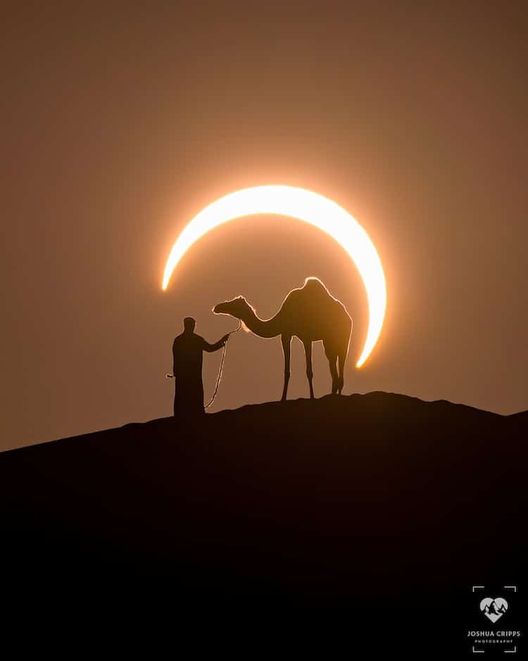 Solar Eclipse Around a Man Leading a Camel in the Desert 😲