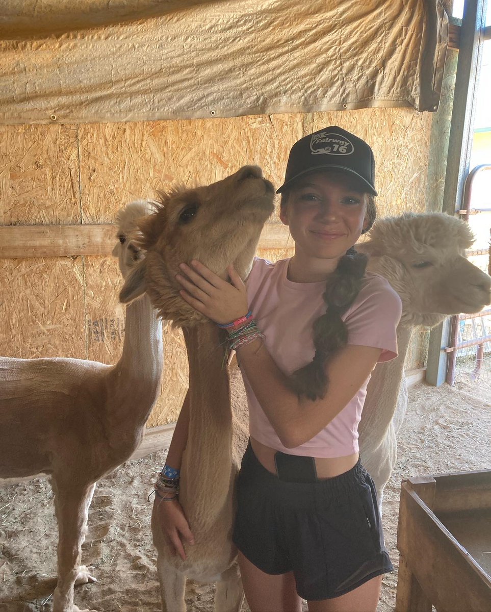 drpricebarry's tweet photo. Grandma Therapy: Spend the afternoon at an alpaca farm. https://t.co/SvFy5JqLqD
