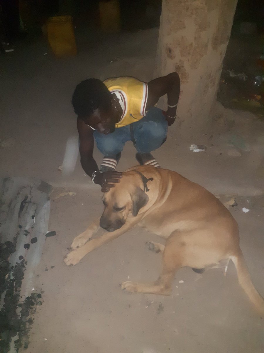 bubabahfulo's tweet photo. We are looking for help https://t.co/bXBWF9b3MZ