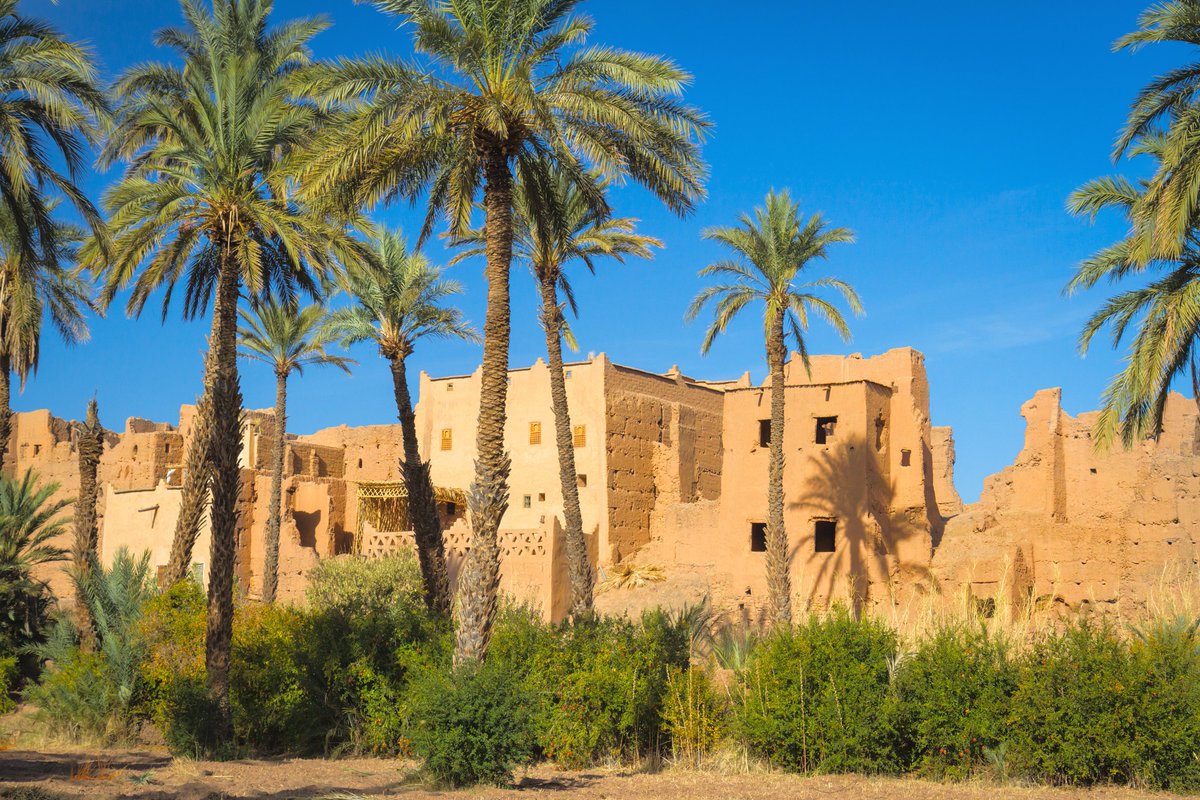 EvolutionTravel's tweet photo. Se dico...#Marocco
Quali sono le #3cose che ti vengono in mente all'istante? 😎
#viaggi #viaggiare #travel https://t.co/FSTyXqDOmU