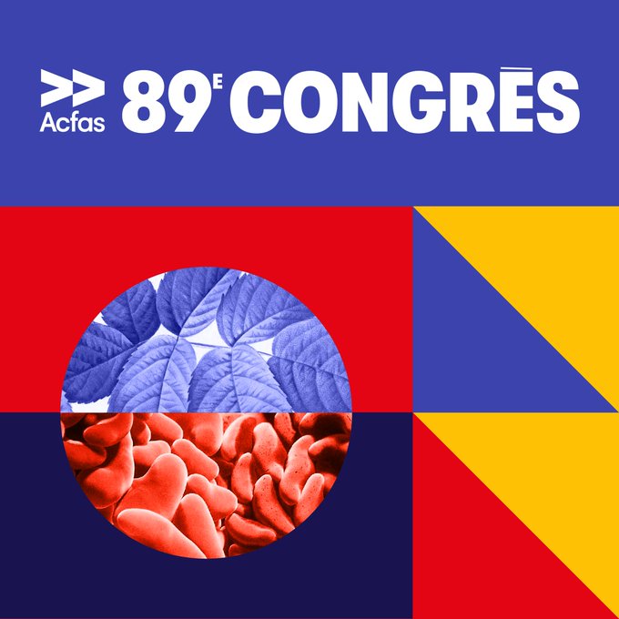 CERIEC_ets's tweet photo. En direct du 89e Congrès @_Acfas, le 1er colloque du Réseau de recherche en #économiecirculaire du Québec #RRECQ «Contribution de la recherche à la transition vers l'économie circulaire» se déroule aujourd'hui et demain. Venez nous rejoindre! #AcfasC611 https://t.co/FGwb7Tj05j https://t.co/3JJLjFJauQ