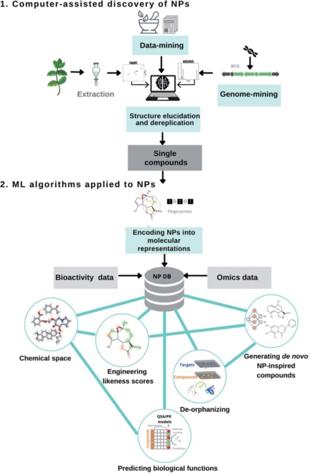 PhotochemistryT's tweet image. Important review on progress in #computer_aided #drug_design

#Natural_product drug discovery in the artificial intelligence era
F. I. Saldívar-González, V. D. Aldas-Bulos, J. L. Medina-Franco , F. Plisson
doi.org/10.1039/D1SC04…
