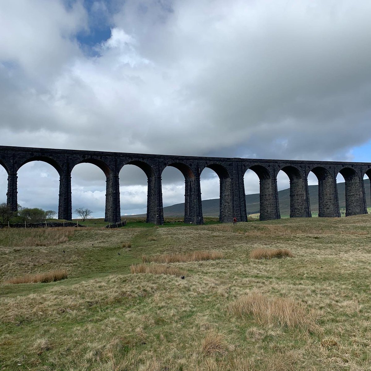 Amy Greaves tweet media