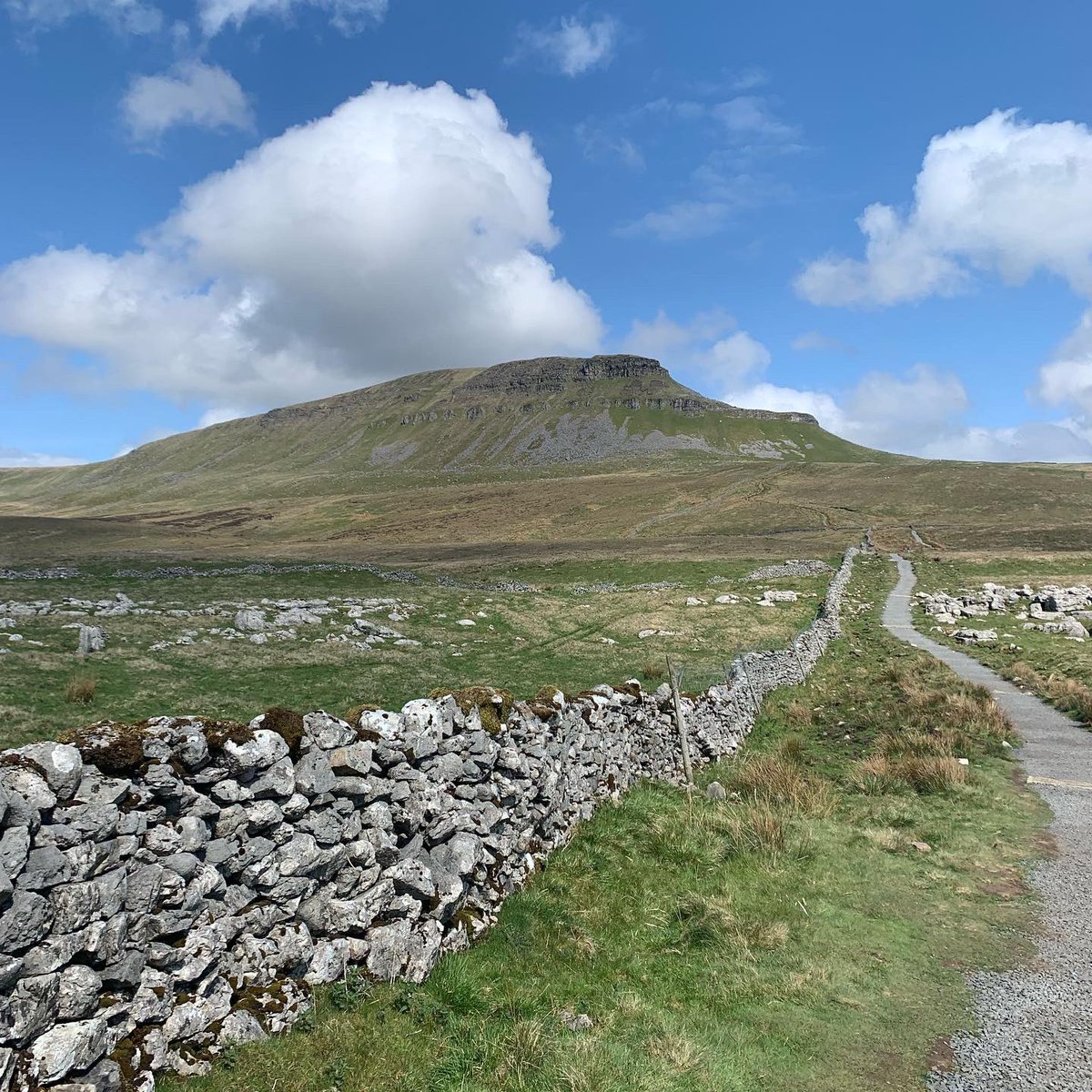 Amy Greaves tweet media