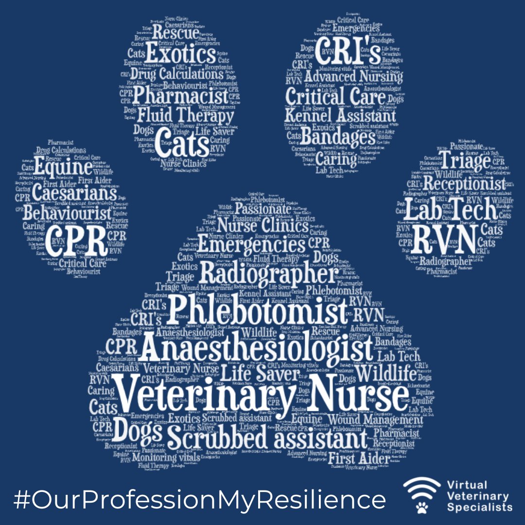 Undertaking the numerous roles of a Veterinary Nurse takes literal blood, sweat and tears at times. Read more over on our instagram @vvs.vet 

#VNAM2022 #whatVNsdo #whatRVNsdo #OurProfessionMyResilience #bvna #veterinarynurse #rvn #veterinarynursingawarenessmonth #vetnurse #rvn