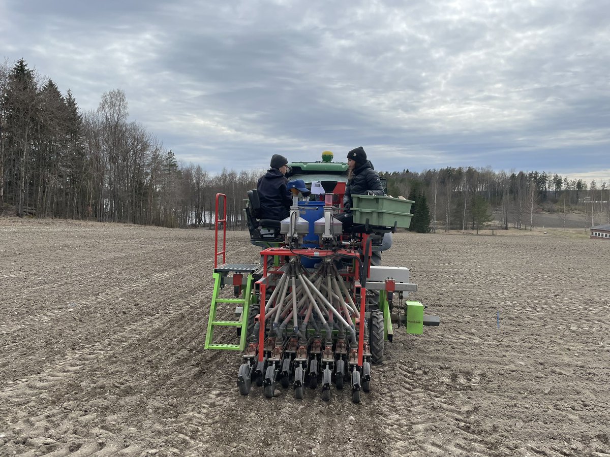 liespuu's tweet photo. Field trial drillings started today with a #catch_crop trial in #spring_wheat. STEP 1: drilling of various #catch_crops with a two-meter drilling machine. STEP 2: drilling of spring wheat and various N-rates over catch crops with a trial drilling machine. #YaraKotkaniemi #Finland https://t.co/T5HaAwGjU3