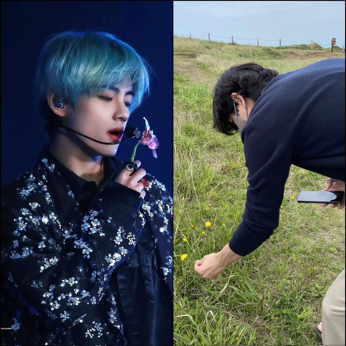 indomyfess's tweet photo. -idm Taehyung??? spam bunga??? SINGULARITY????!!!!!!!! https://t.co/d0tYfnXZgv