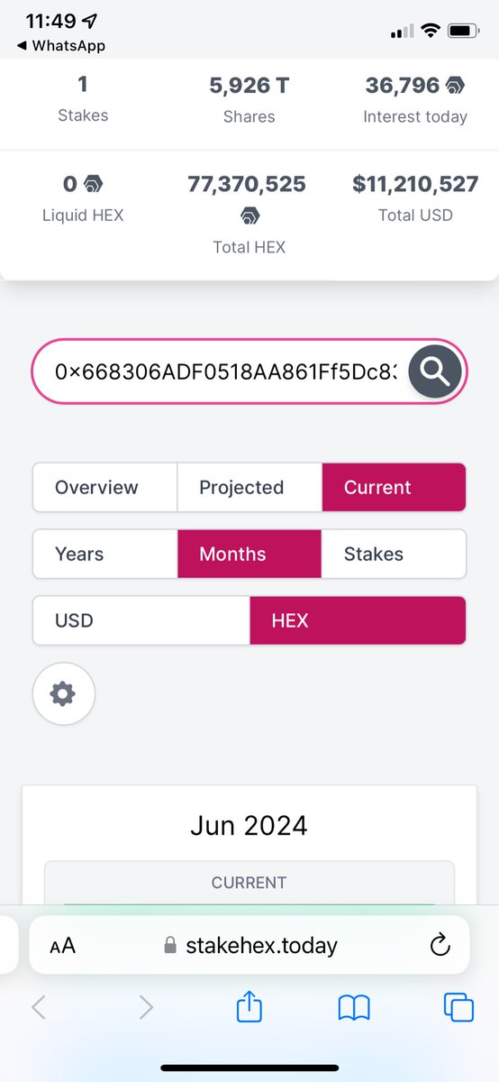 HEXBrazil tweet picture