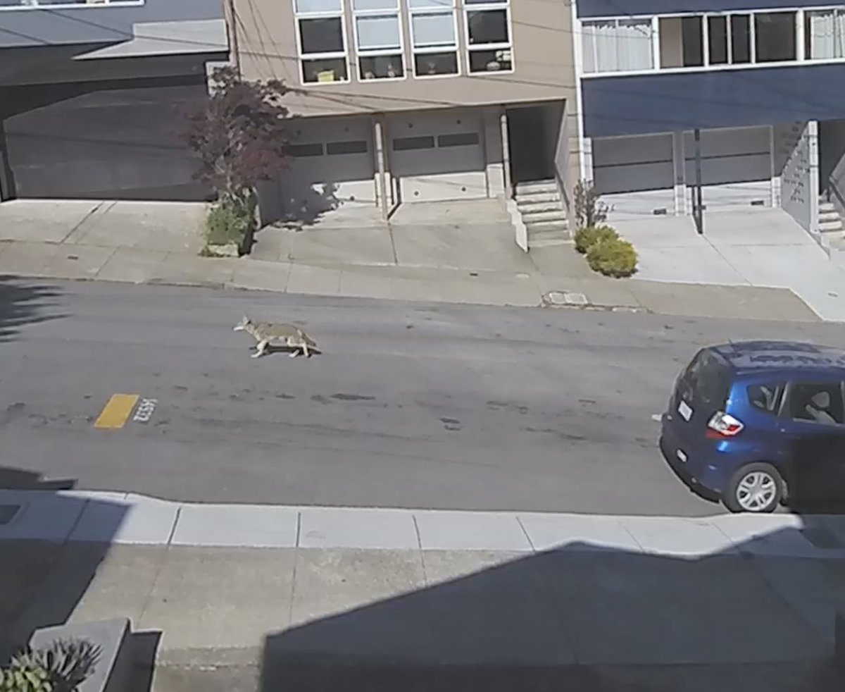 Ole Jacobsen tweet media