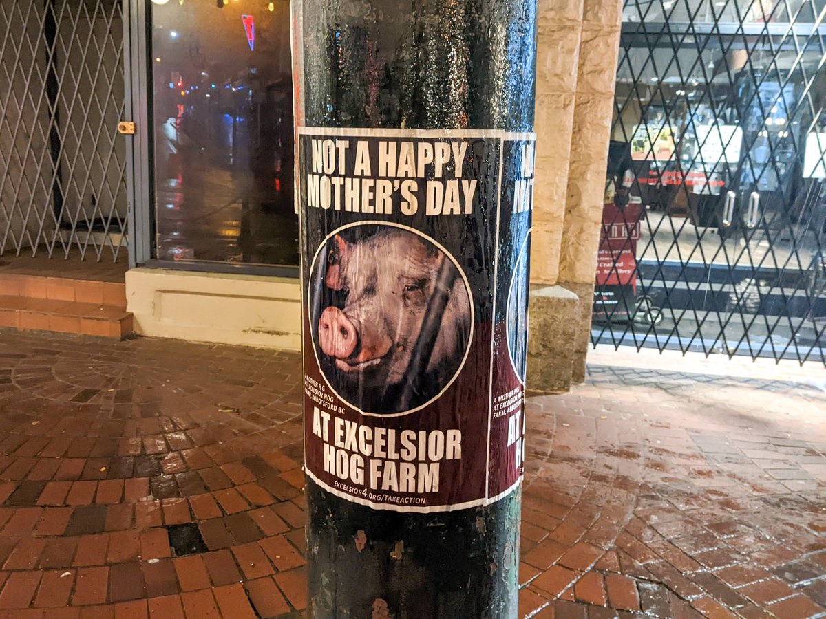 AnimalJustice's tweet image. On #MothersDay, hundreds of posters were plastered in cities across BC to highlight the sickening cruelty to mother pigs that animal advocates documented at Excelsior Hog Farm in Abbotsford. #Excelsior4