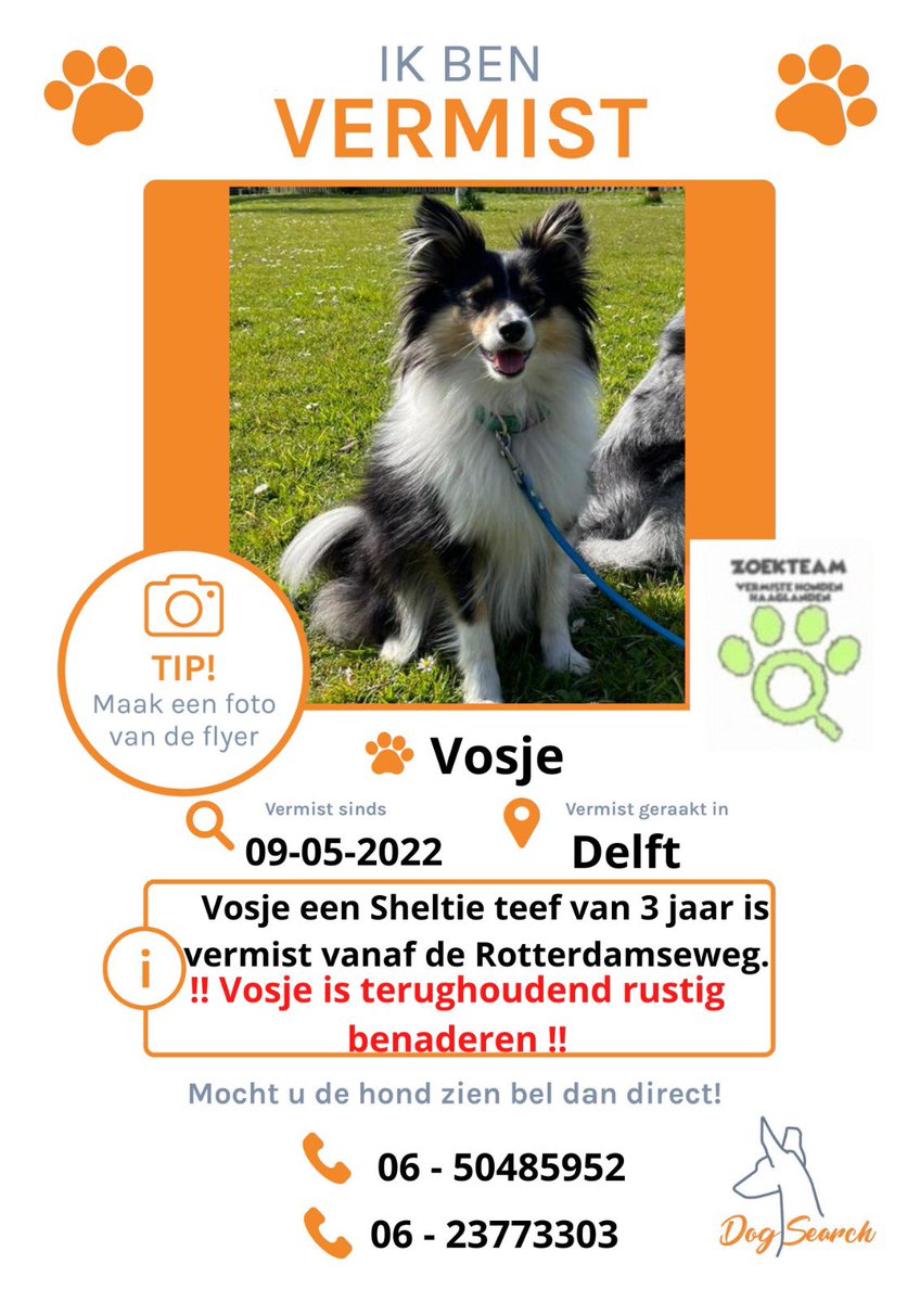 Dogsearch Nederland tweet media