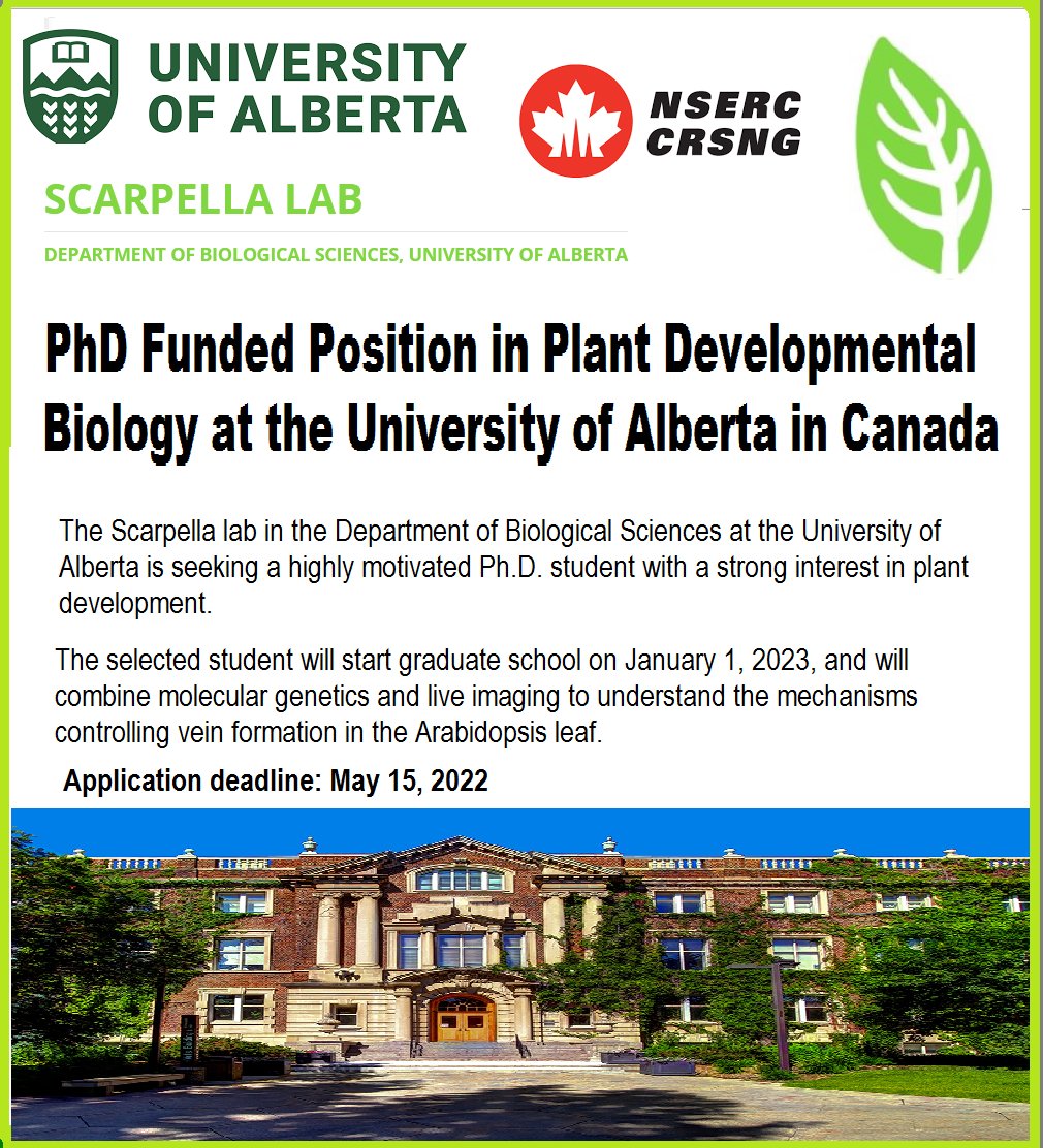 Agristok on Twitter "📌 PhD Funded Position in Plant Developmental