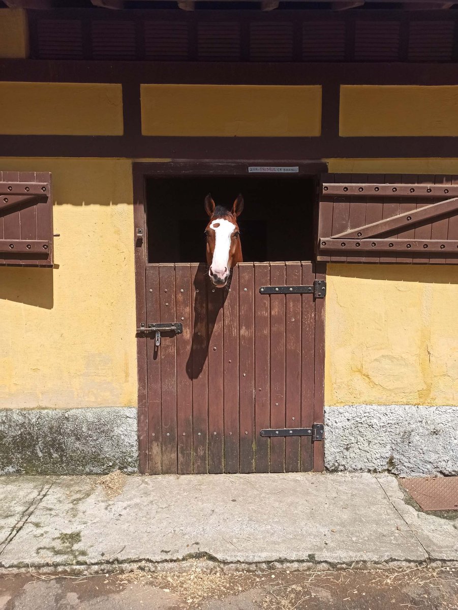 🚪nftano.club tweet media