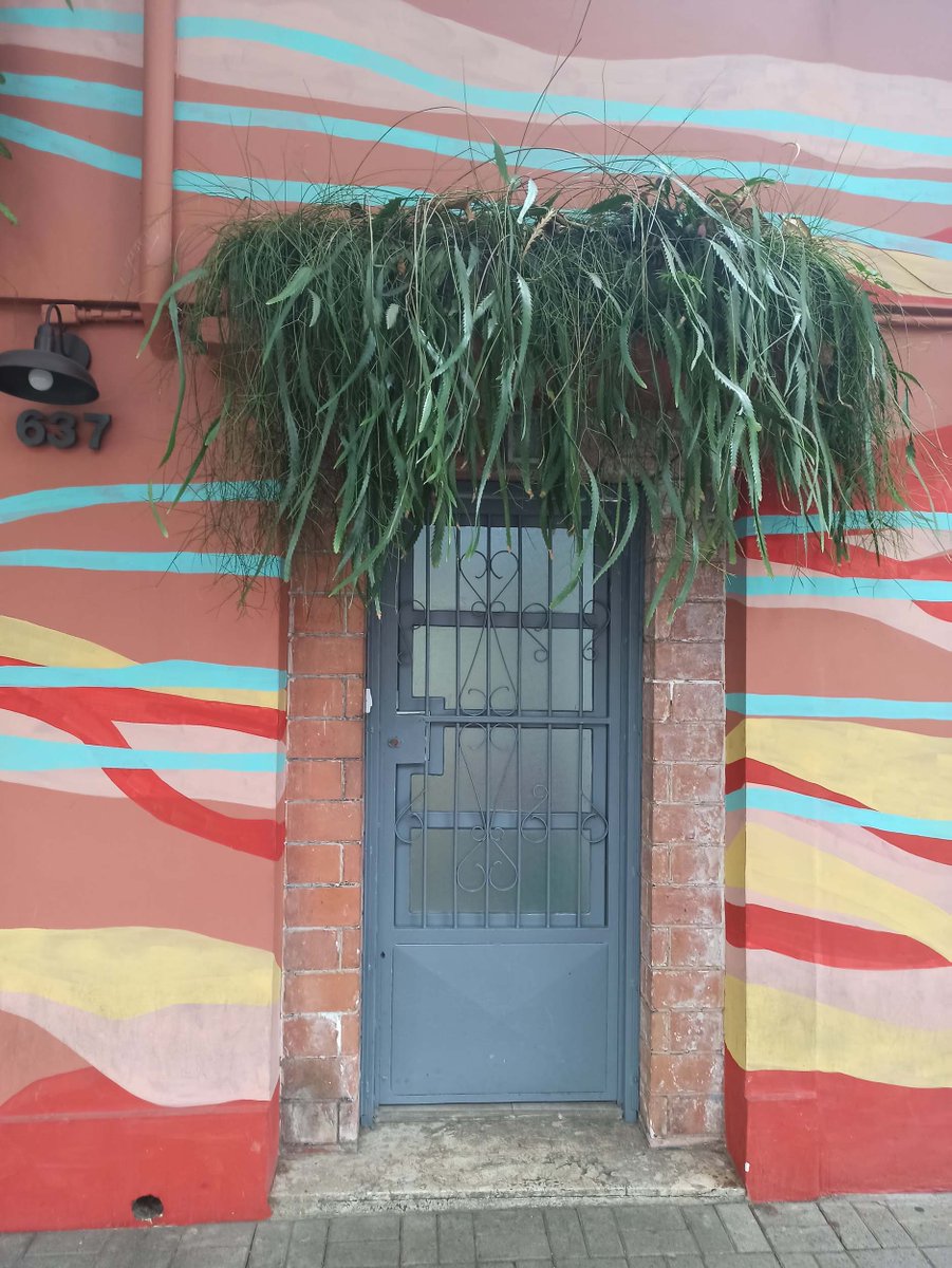 🚪nftano.club tweet media