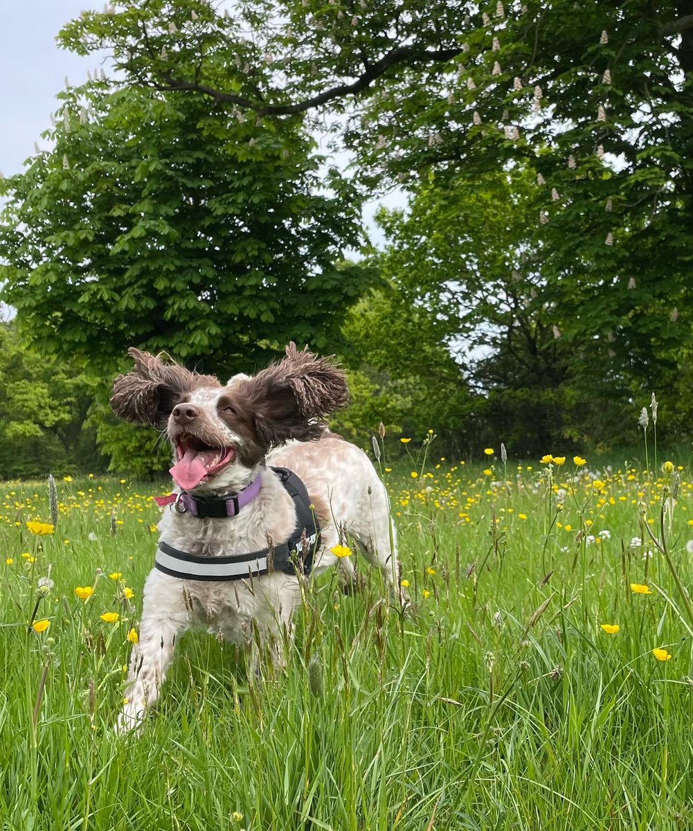 Mark Laybourn tweet media