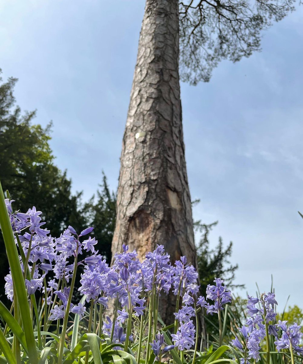 Mark Laybourn tweet media