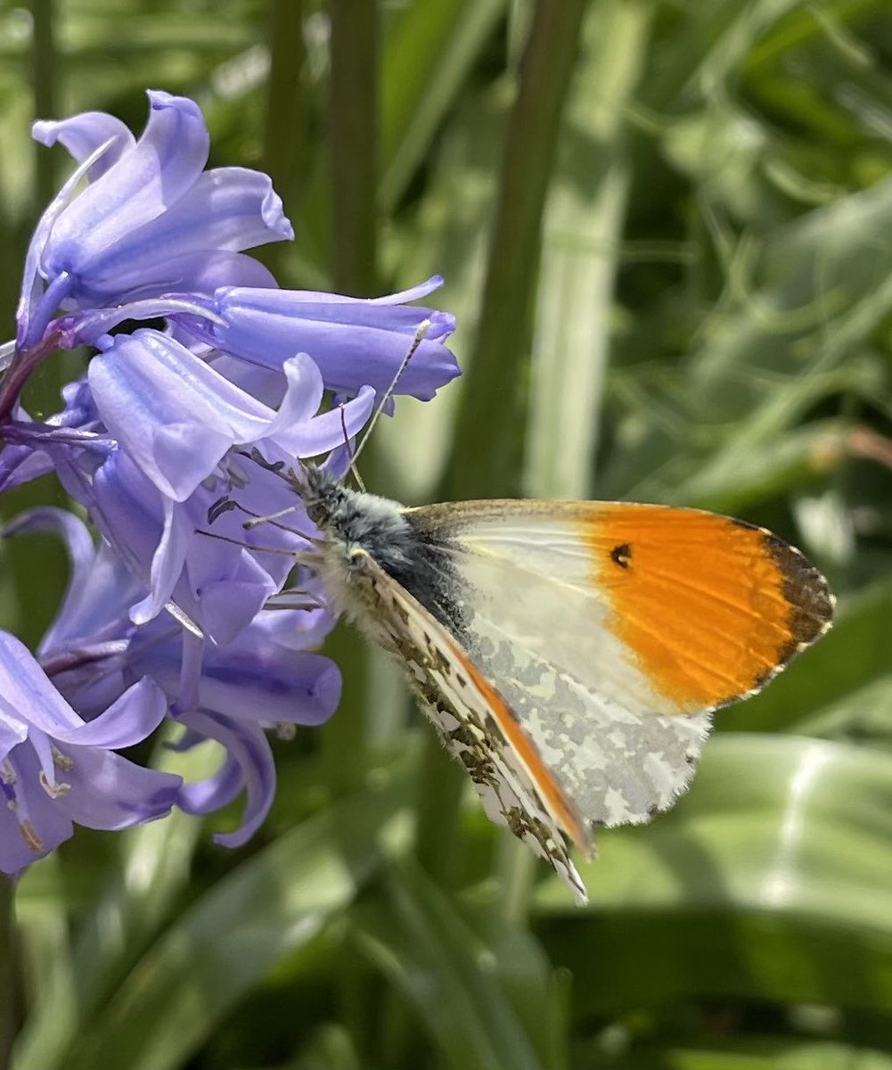 Mark Laybourn tweet media