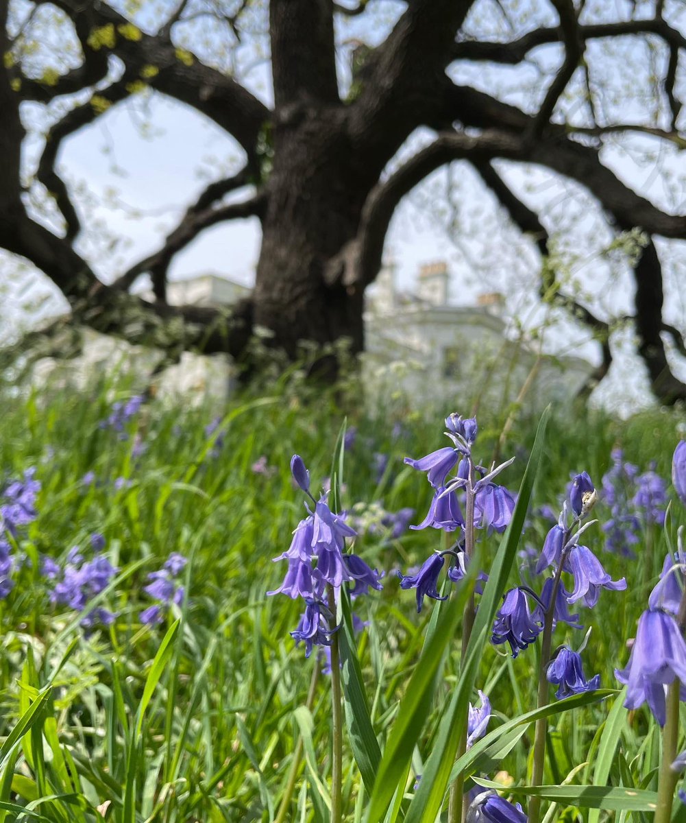 Mark Laybourn tweet media