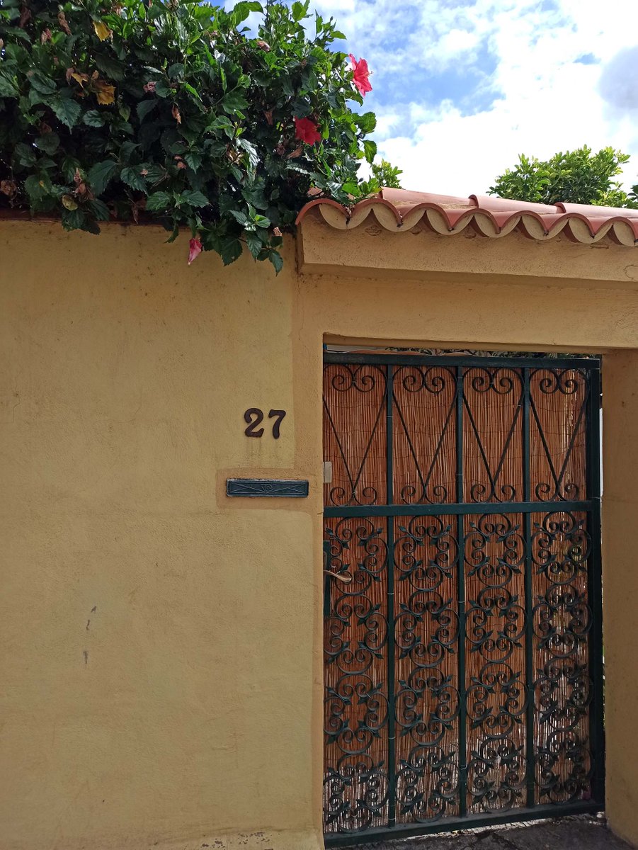 🚪nftano.club tweet media