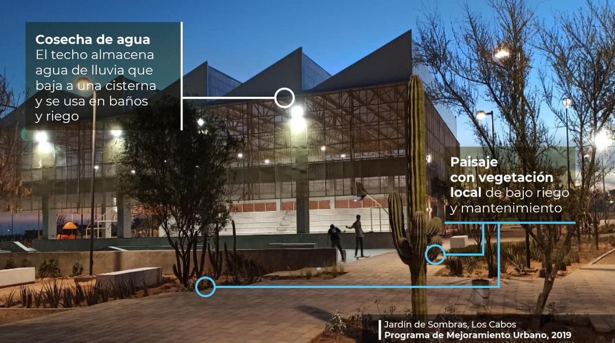 Román Meyer Falcón tweet media