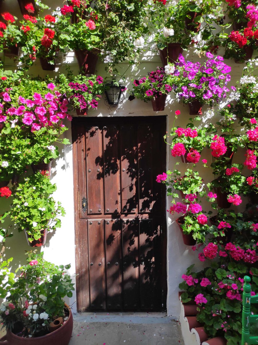 🚪nftano.club tweet media