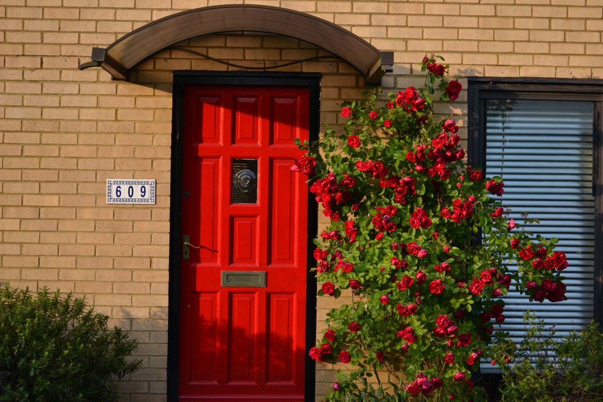 🚪nftano.club tweet media