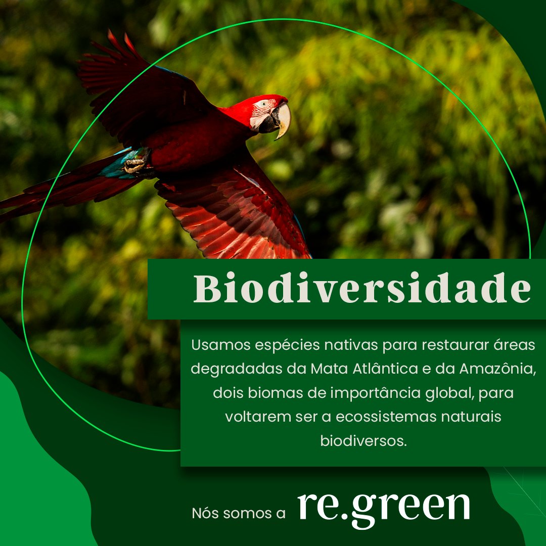 Re Green tweet media