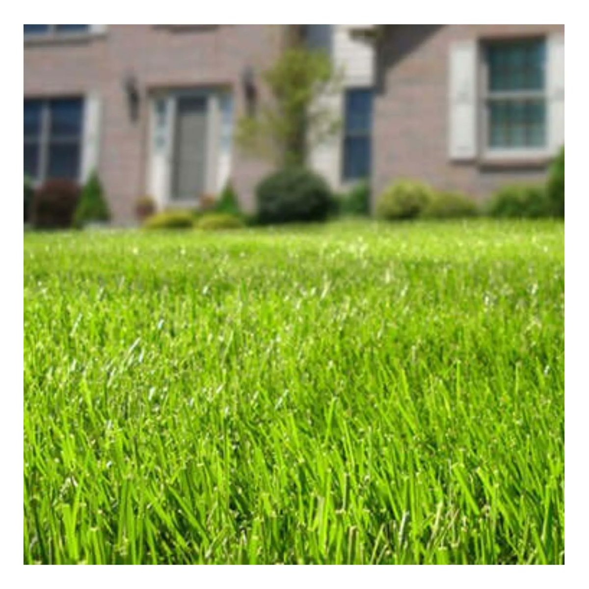 Do you know what you’re doing for lawn care this summer? Maybe dreading it? Call Swarty’s today and see if we’re a good fit for you! We can take care of all your lawn care needs. Get a free quote today. Swartys.com