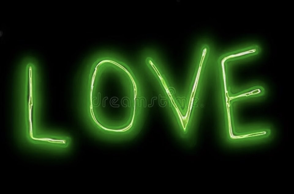 Chicanatravels's tweet photo. Don’t beg to be adored. Someone out there wishing for you for you right now. #amournoir 
💚💚💚💚💚💚💚💚 https://t.co/5stZWtaq0C