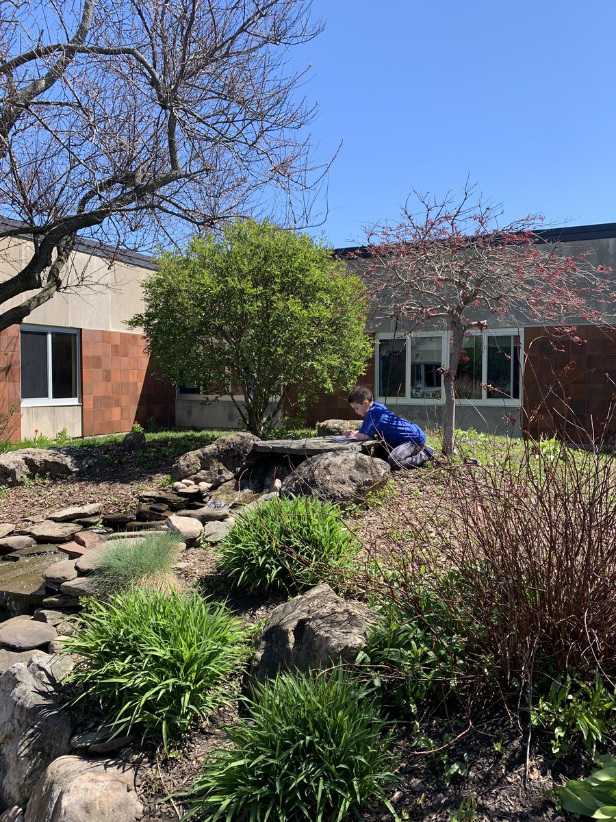 ChelseaOT17's tweet photo. Sensory exploration and scavenger hunt in our courtyard today! #OTfun @SchlegelRoadES @OwlWcsd 
🪺🌸🌞🐝🐢 https://t.co/286C6YJt87