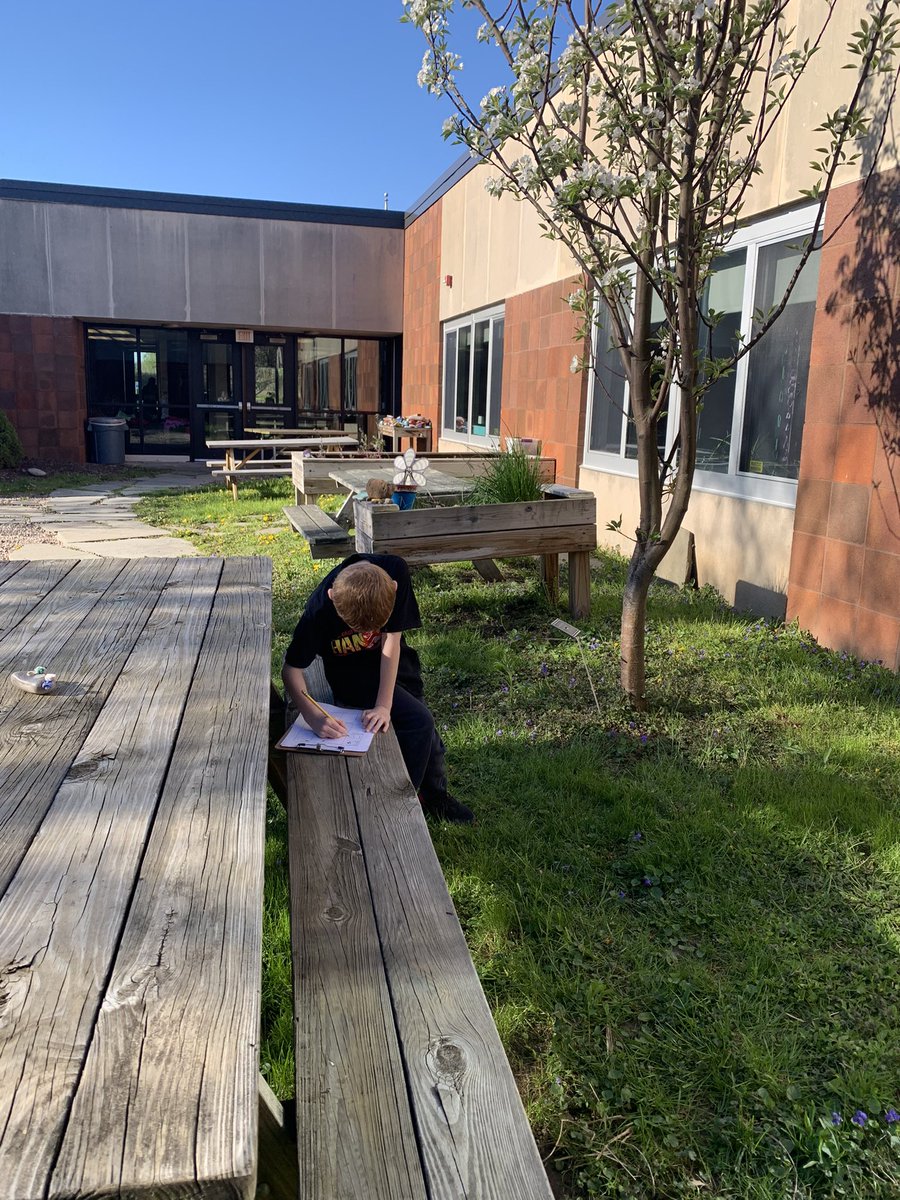 ChelseaOT17's tweet photo. Sensory exploration and scavenger hunt in our courtyard today! #OTfun @SchlegelRoadES @OwlWcsd 
🪺🌸🌞🐝🐢 https://t.co/286C6YJt87