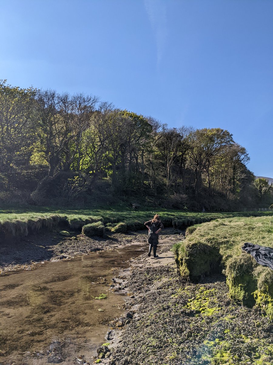 hannahcmuir's tweet photo. First #BlueCarbon #fieldwork complete last week for my PhD @NOCnews @SwanseaUni with amazing project partners @Rowan_Henthorn @JaxKeenan @iomdefa 😄🌊 who knew 'work' could be so fun! https://t.co/lvbwSnbiBQ