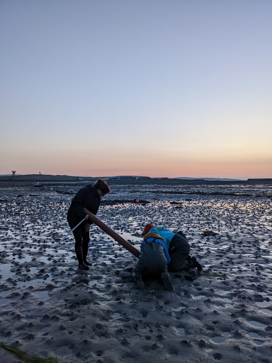 hannahcmuir's tweet photo. First #BlueCarbon #fieldwork complete last week for my PhD @NOCnews @SwanseaUni with amazing project partners @Rowan_Henthorn @JaxKeenan @iomdefa 😄🌊 who knew 'work' could be so fun! https://t.co/lvbwSnbiBQ