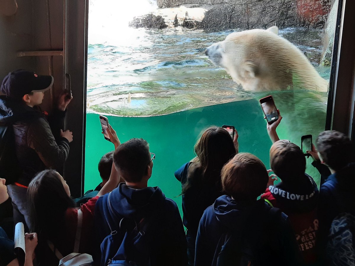 HumanitiesKibs's tweet photo. Year 6 getting very close to the animals at the amazing Hannover Erlebnis Zoo.  #KIBSYear6 #erlebniszoo #hannoverzoo #yukonbay #zoo https://t.co/aAWV62k7Uk