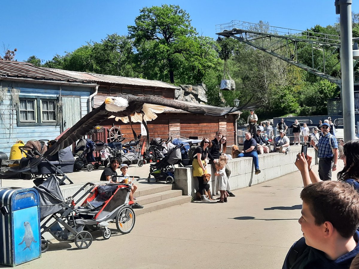 HumanitiesKibs's tweet photo. Year 6 getting very close to the animals at the amazing Hannover Erlebnis Zoo.  #KIBSYear6 #hannoverzoo #yukonbay #zoo https://t.co/UkKlMkB1tL