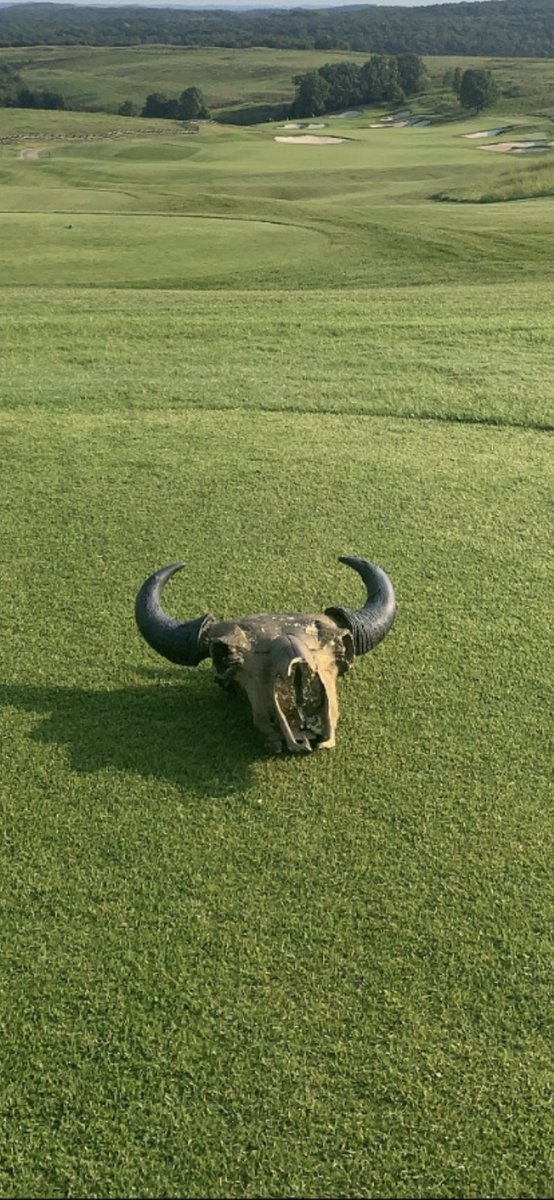 NBallinger's tweet photo. @GolfTravelerJoe Buffalo Ridge at Big Cedar Golf https://t.co/D8r6UePxHh